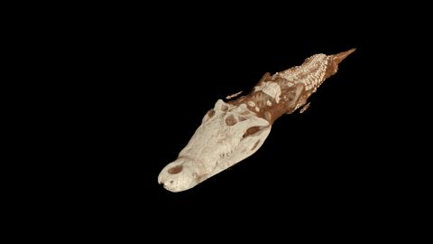 British Museum – Scanning Sobek
