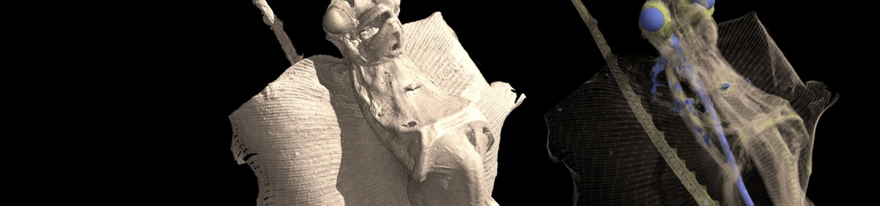 Jenny Haniver 3D
