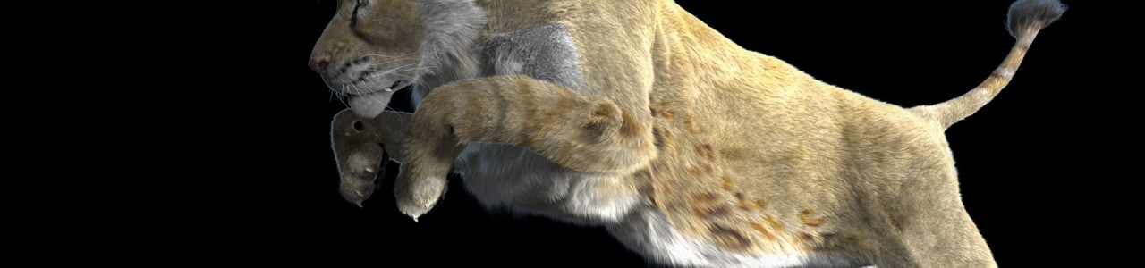 Lion Panthera Leo Spelea 3D