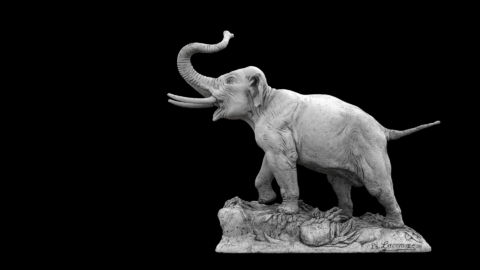 Numérisation 3D haute précision