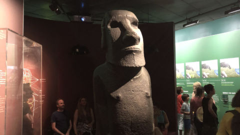 Exposition Île de Pâques – Museum de Toulouse