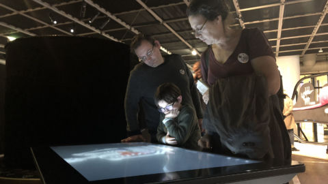 Microbiote – Cité des Sciences et de l’Industrie