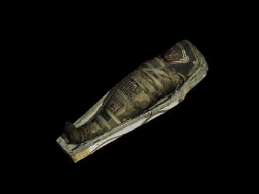3d and scientific analysis of child mummy of antinoé