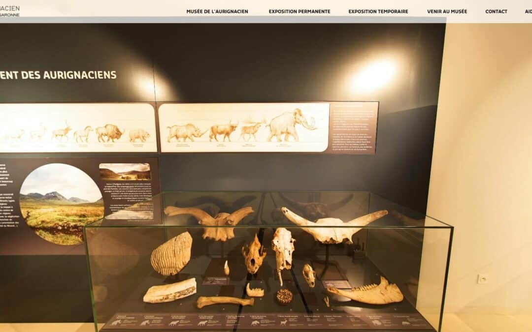 360 virtual tour exhibition – musée de l’aurignacien